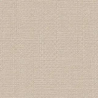 Kampjun tad-drapp blackout Focus 04