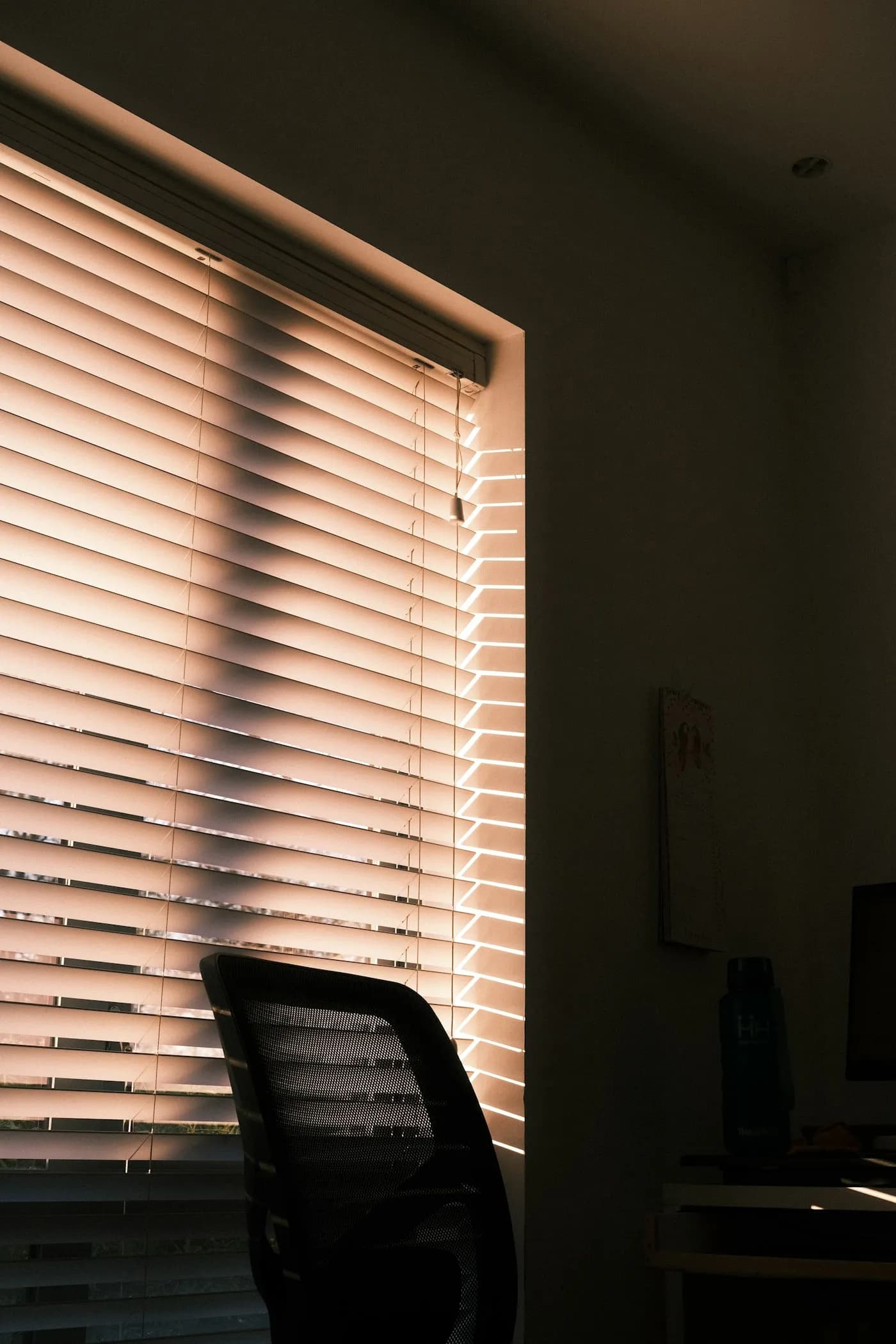 Blinds controlling daylight in a workspace